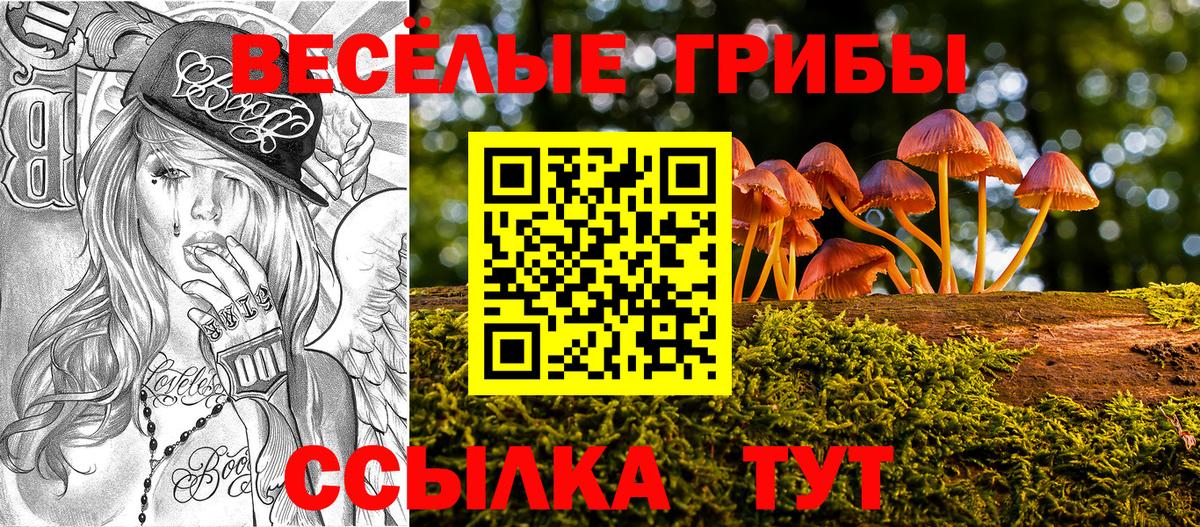 Галлюциногенные грибы GOLDEN TEACHER Белореченск