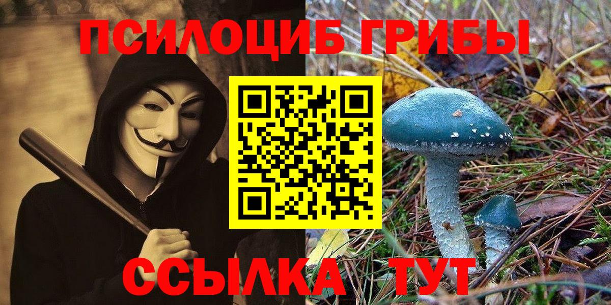Галлюциногенные грибы GOLDEN TEACHER  Вход с VPN  Белореченск  Галлюциногенные грибы GOLDEN TEACHER 